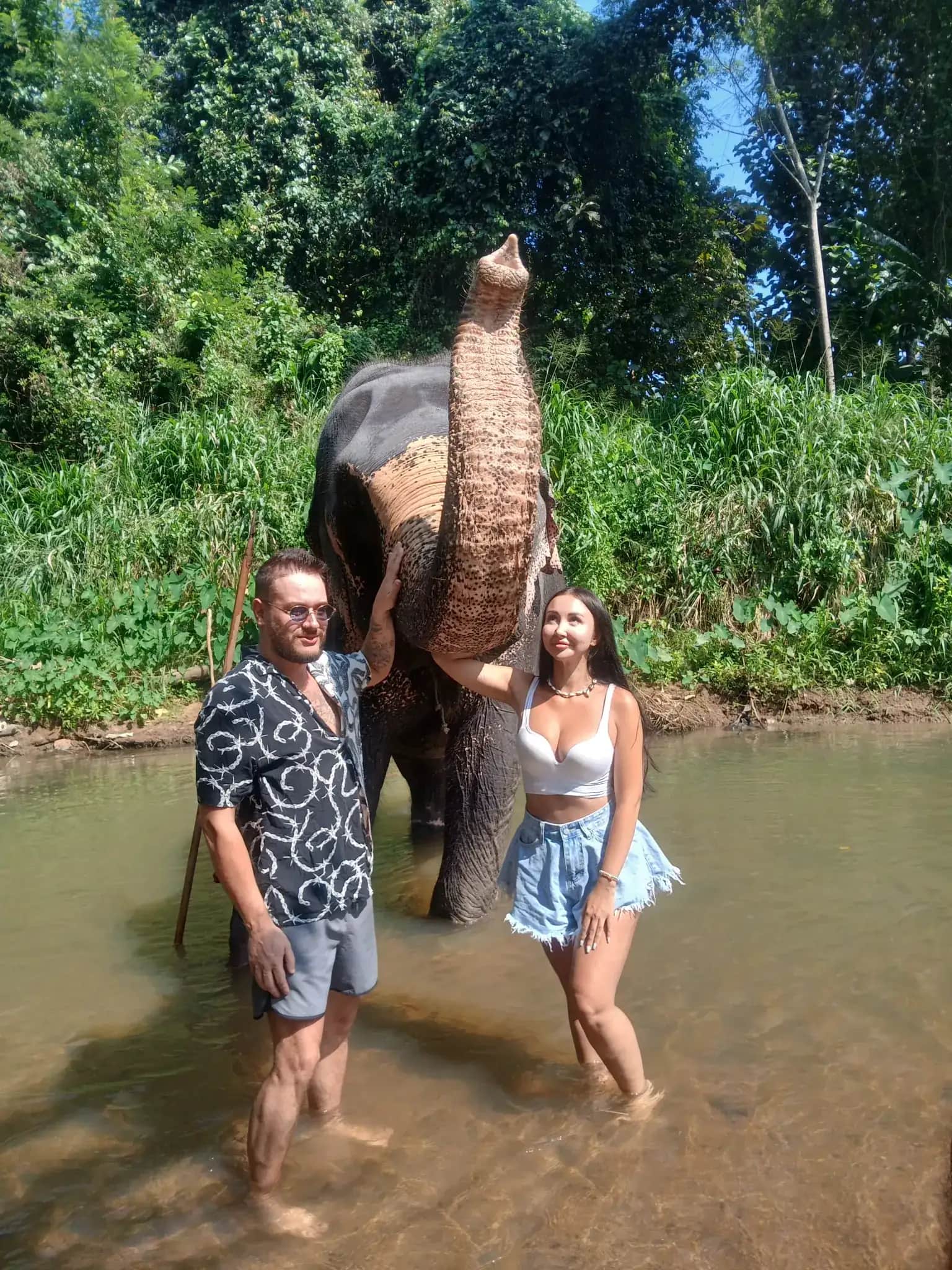 Wild elephants grazing in the Sri Lankan bush