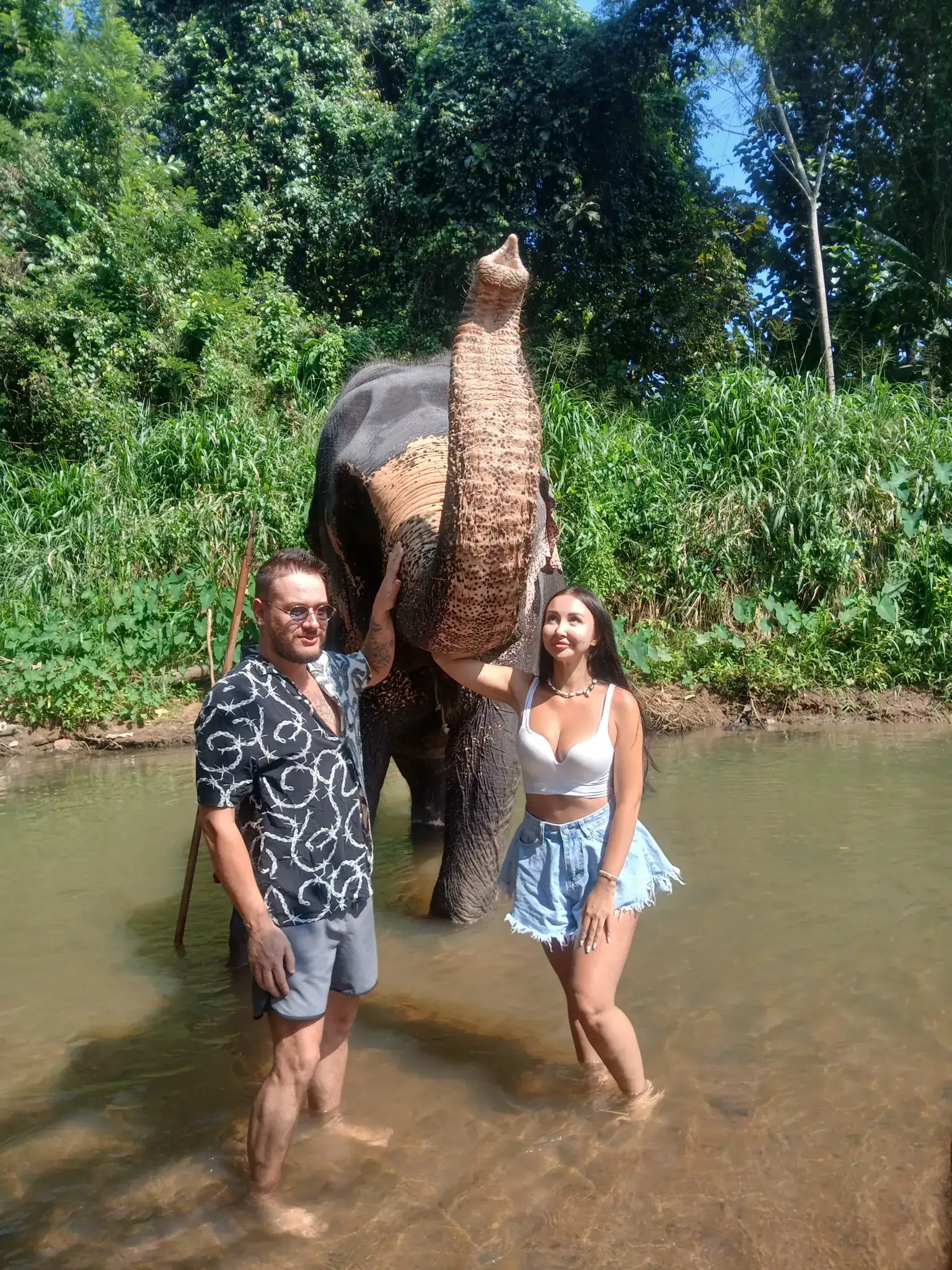 Wild elephants grazing in the Sri Lankan bush